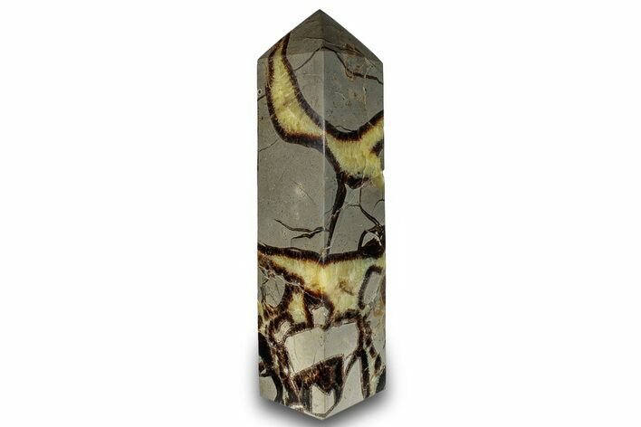 Polished Septarian Obelisk - Madagascar #260519